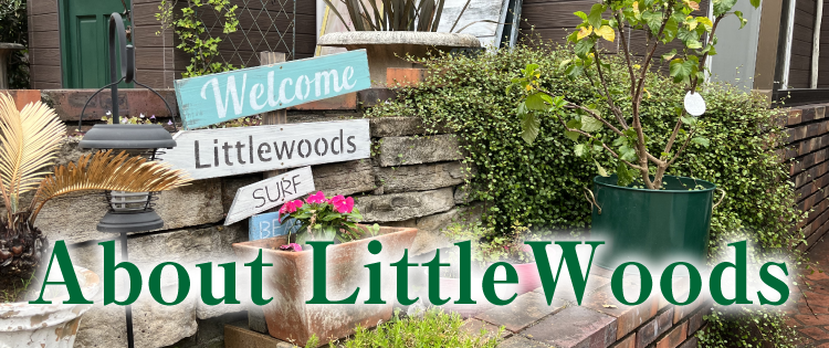 About Little Woods